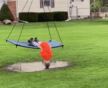 1000014377.gif