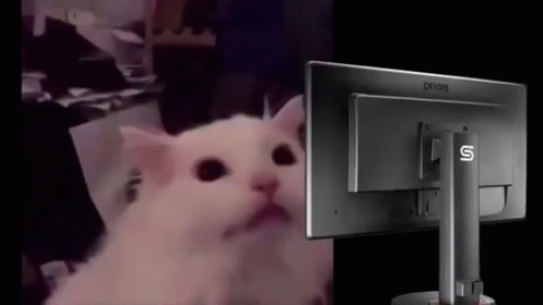 1000023814.gif