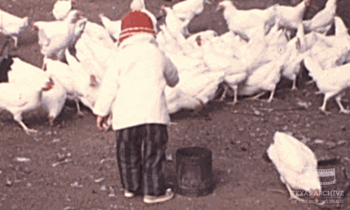 1000025826.gif