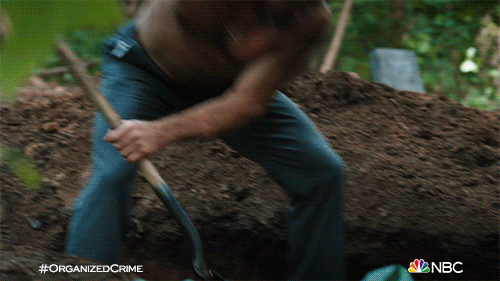 1644014606049.gif