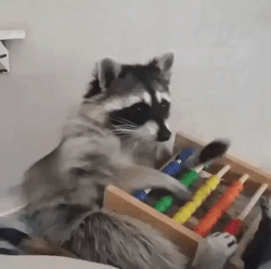 1644559935221.gif
