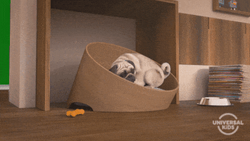 1645131818850.gif