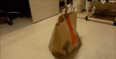 1648787759851.gif