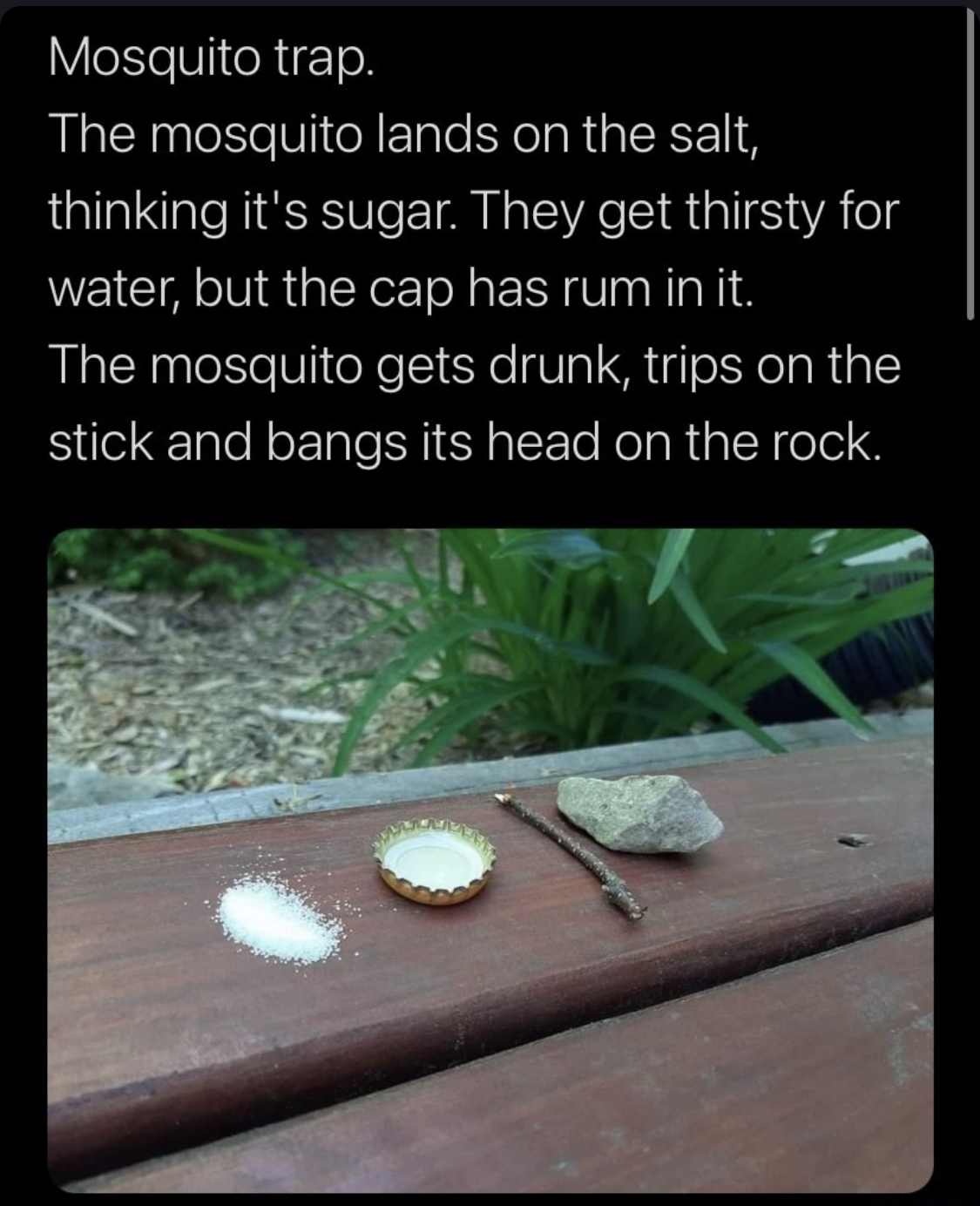 1650072022195.jpeg
