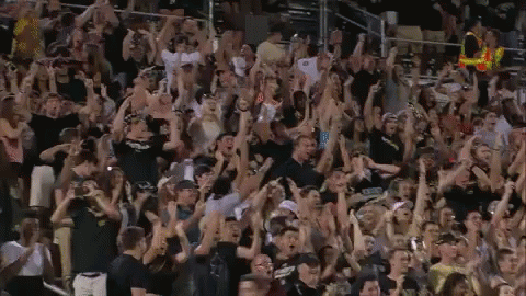 1653297354466.gif