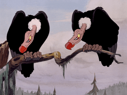 1654496048851.gif