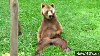 1663208101410.gif