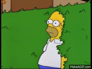 1665227336142.gif