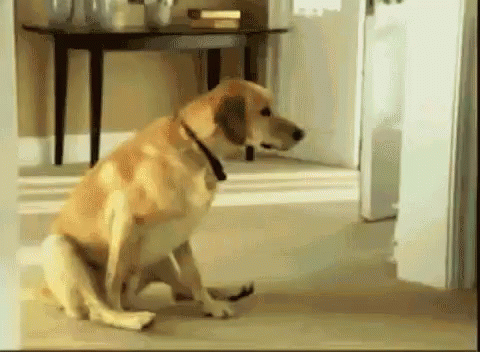 1666927756714.gif