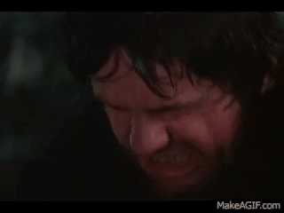 1669706338919.gif