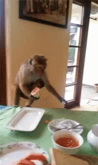 1669769006455.gif