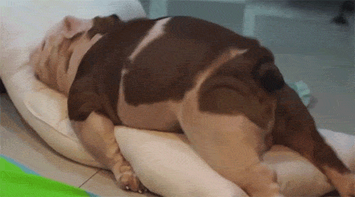 1669845669748.gif
