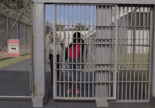 1672460829431.gif