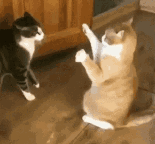 1672994769810.gif