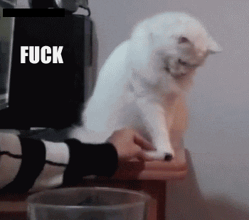 1673060296538.gif
