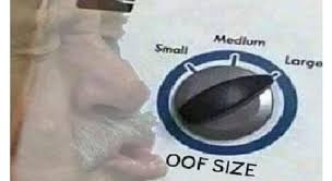 1676337525056.png
