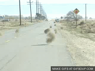1678322363097.gif