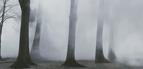1678398229070.gif