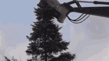 1678783238878.gif