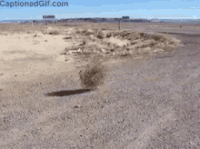 1686754133580.gif
