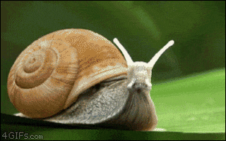 1697175116008.gif