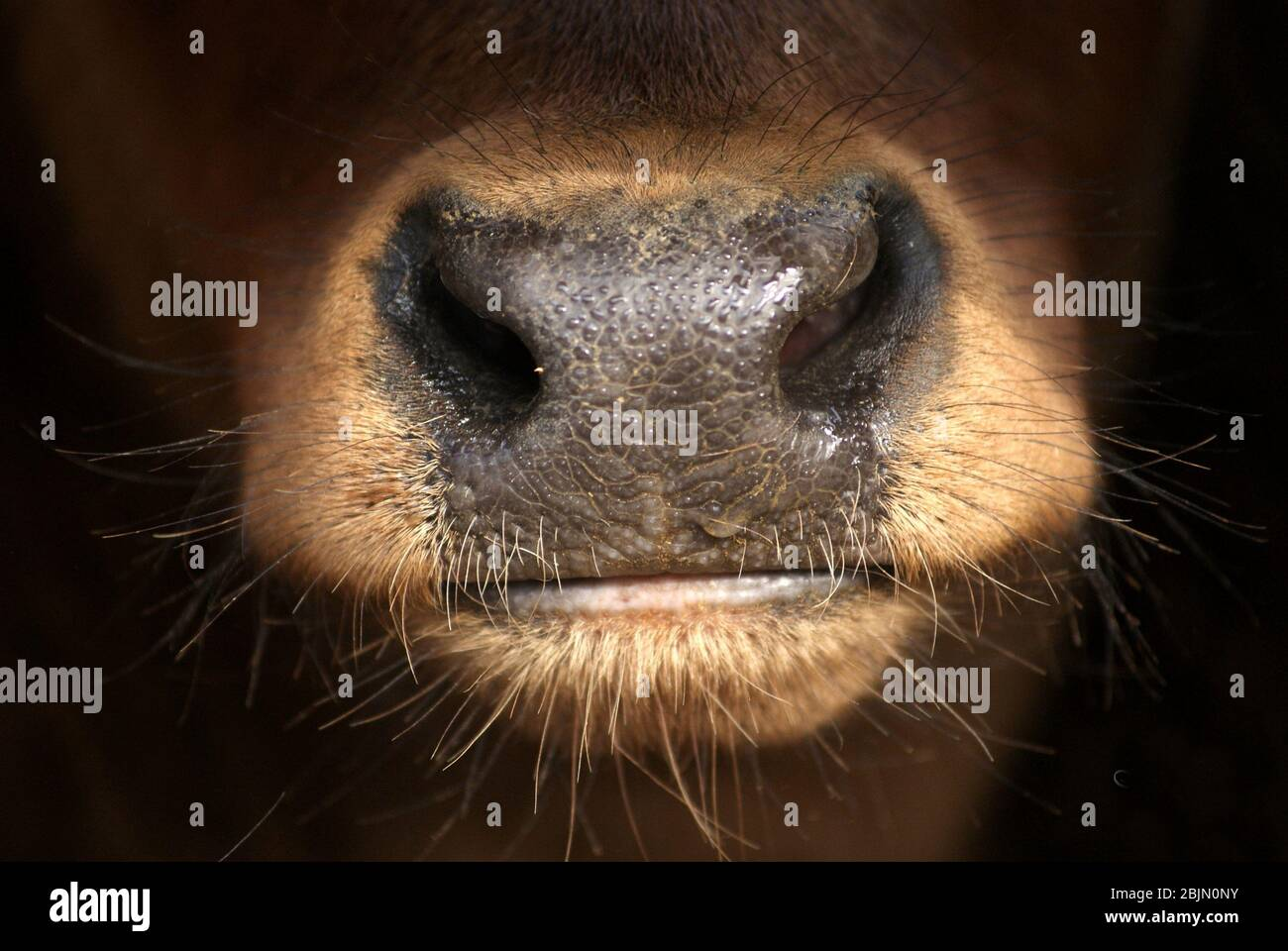1698966769704.png