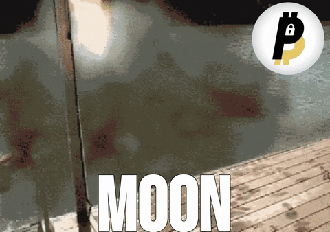 1700201311066.gif