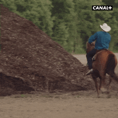 1701403368101.gif