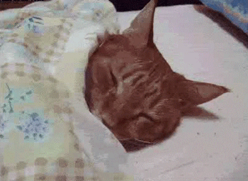 1701490494867.gif