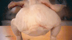 1703457404344.gif