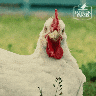 1705220376118.gif