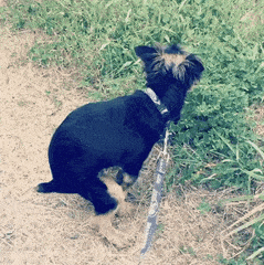 1705402117465.gif