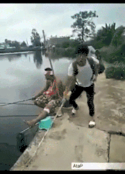 1705567651186.gif