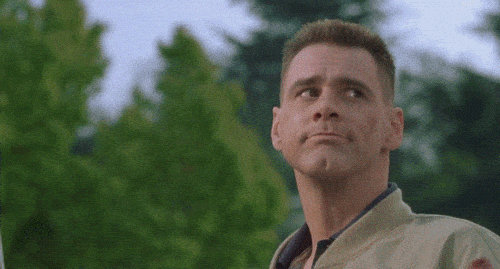 1707433920942.gif