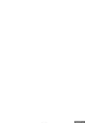 1709631751322.gif