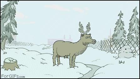 1709637589330.gif