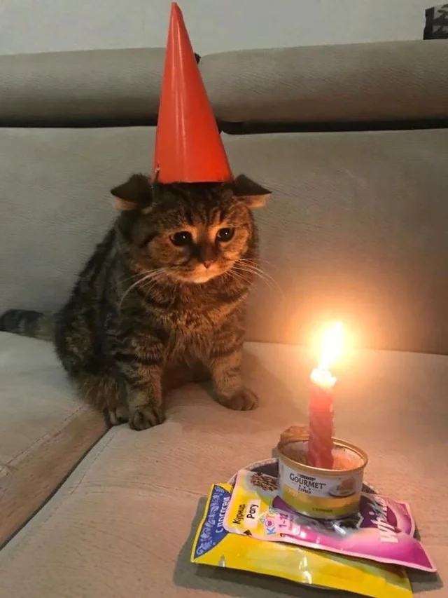 1710237818070.png