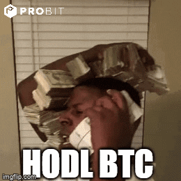 1712388580846.gif