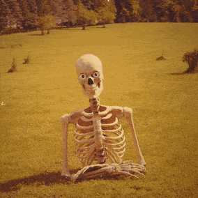 1714368702993.gif