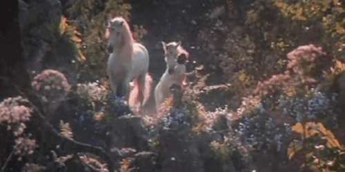1716700073493.gif