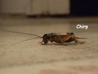 1717657781680.gif