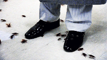 1718152239277.gif