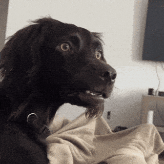 1721862297705.gif