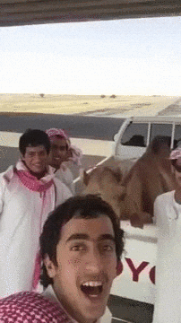 1723784862177.gif