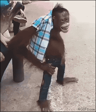 1739358068751.gif