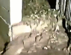 1743534843314.gif