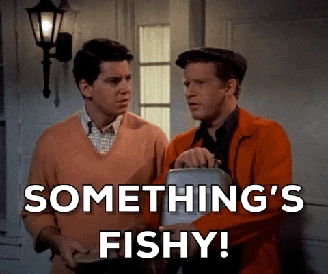 1750227923580.gif