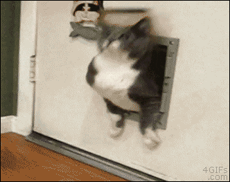 1754537818645.gif