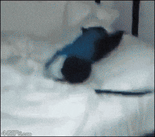 200 (20)30gnsn3.gif