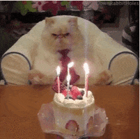 200.gif
